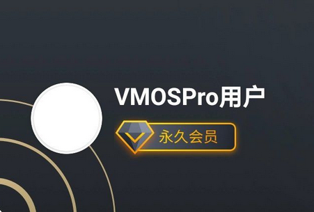 虚拟大师VMOS Pro专业版v1.3.1插图2