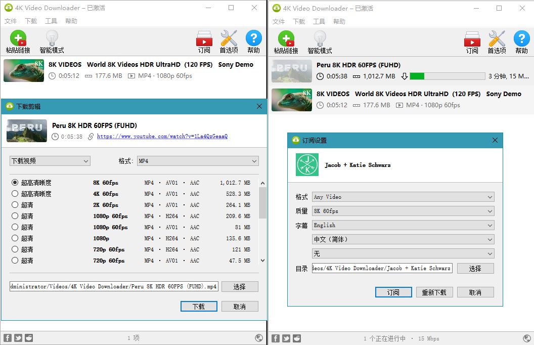 油管高清视频下载利器 4K Video Downloader v4.19.0